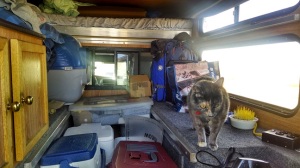 Camper packed up, top down, for road travel.  just enough space to sit and stand with all the stuff i'm carrying.  That is my cat, Momma Kitty.